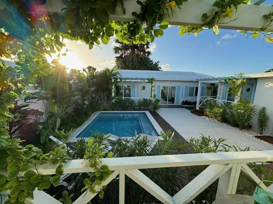 Meraki Studio In Oranjestad, Aruba Palm Beach
